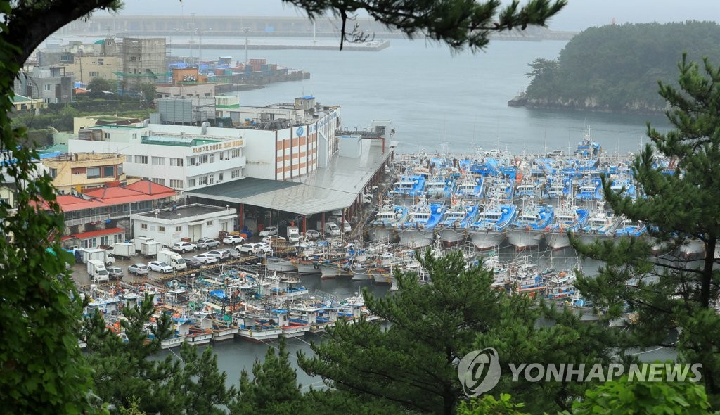 태풍 피해 정박한 어선들