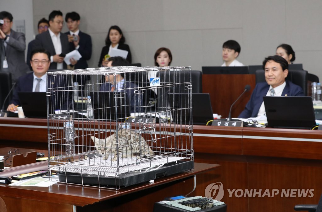 국감장에 등장한 '고양이'
