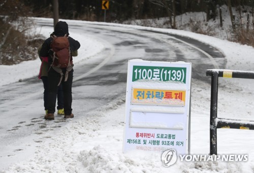 제주 1100로 차량 전면통제
