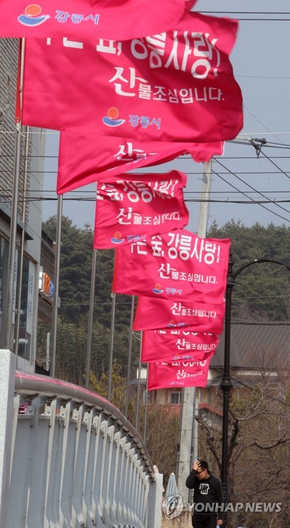 동해안 건조한 날씨에 강풍까지…산불 조심해야