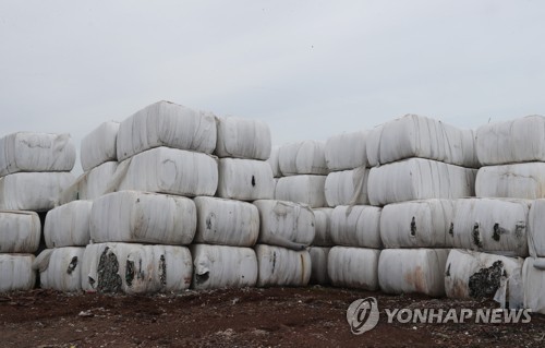 제주에 쌓인 압축 쓰레기 더미