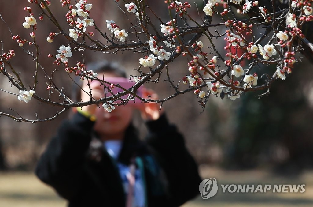 봄이 피어날 때