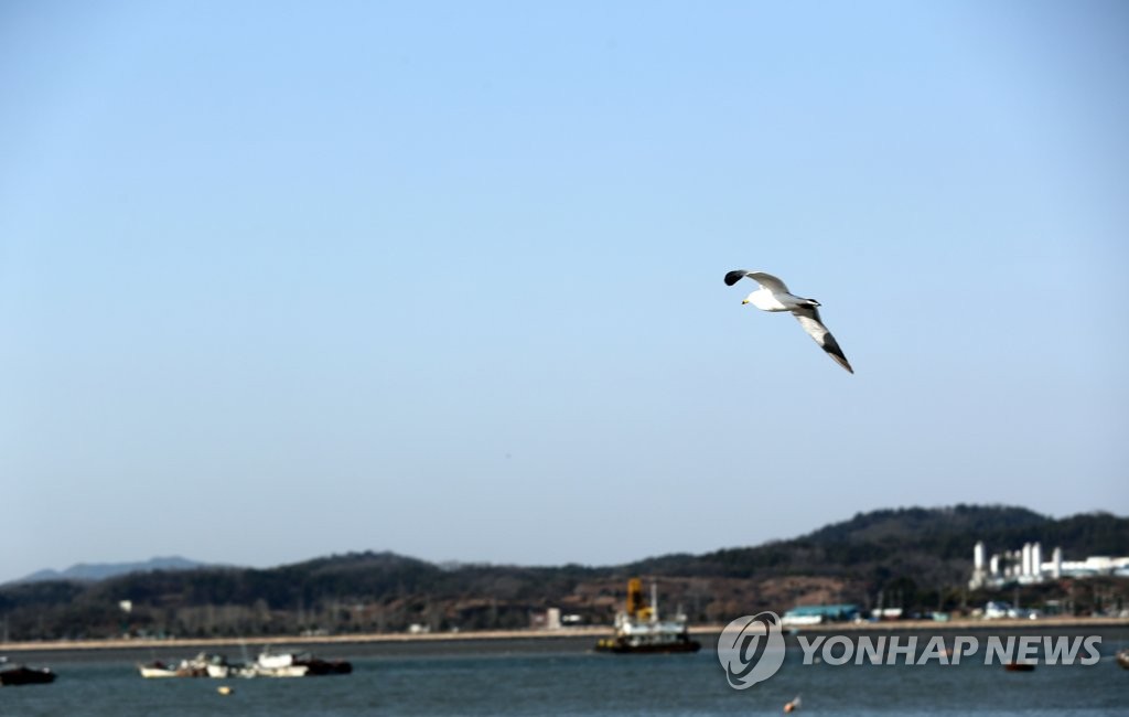 '숨 쉬기 편하다'