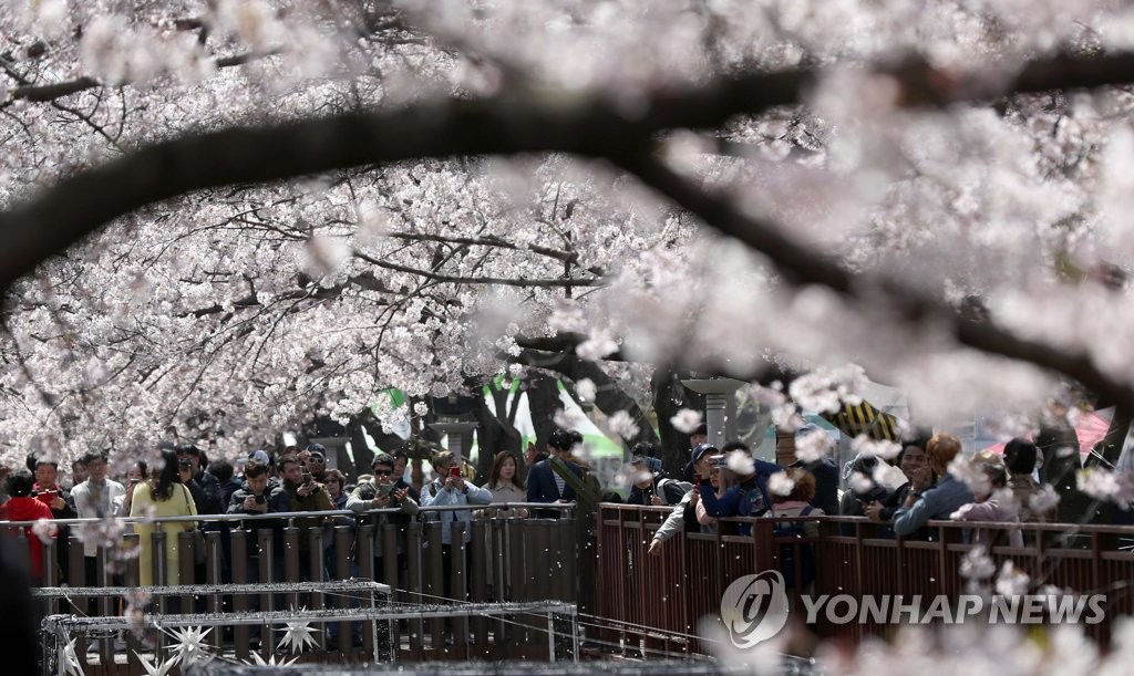 봄의 즐거움, 보는 즐거움