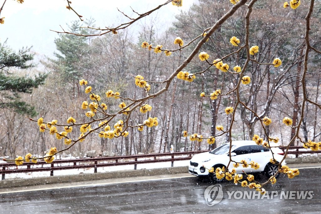 한계령의 봄과 겨울