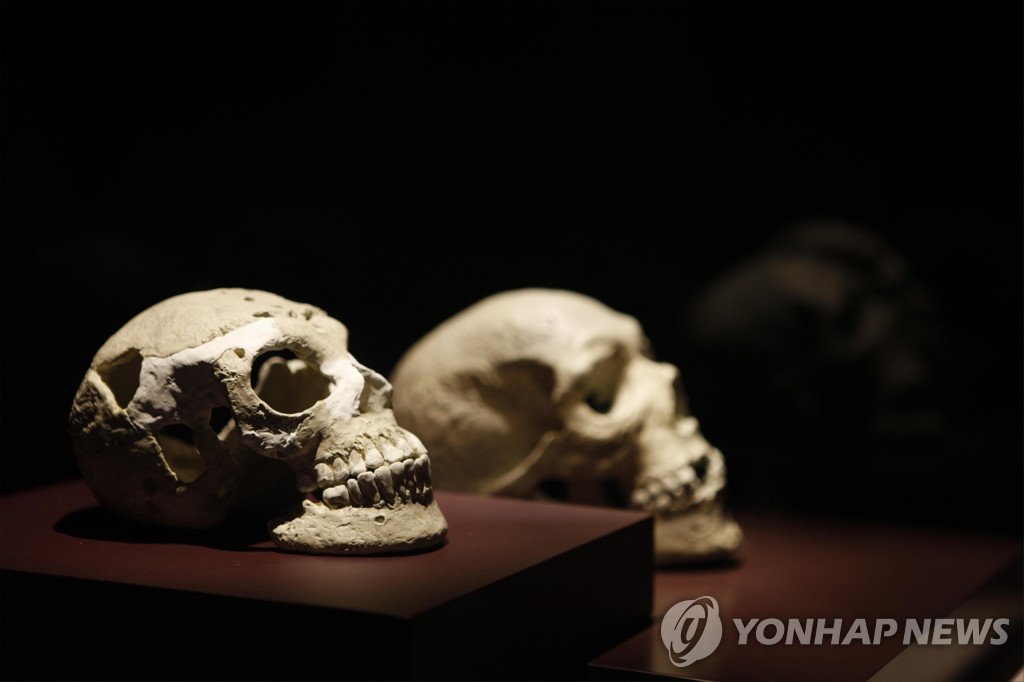 편두 인골