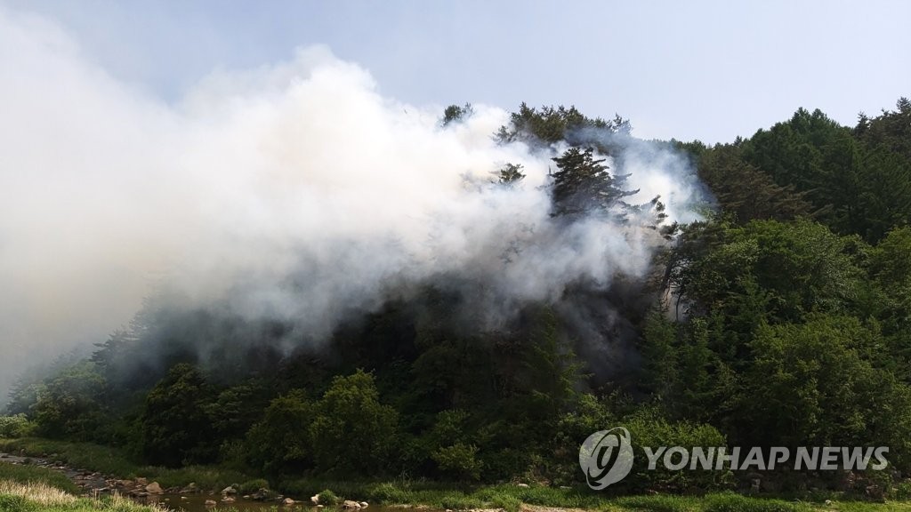 정선 화암면 야산서 불…치솟는 연기