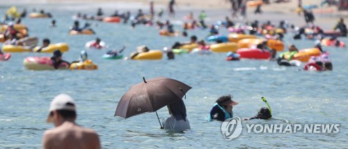 해변의 우산