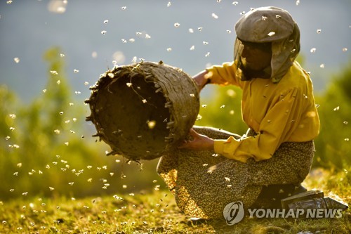 울주세계산악영화제 폐막작 '허니랜드'