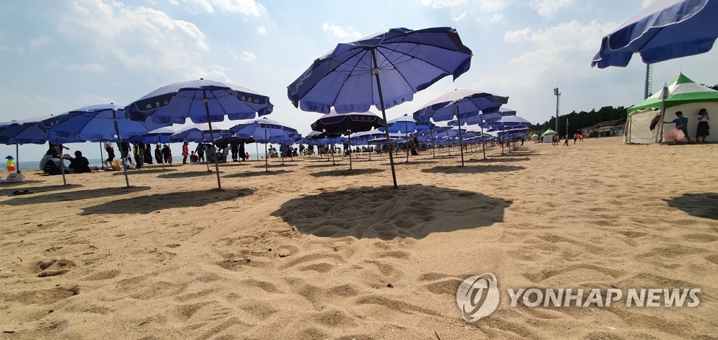 텅 빈 해수욕장 파라솔