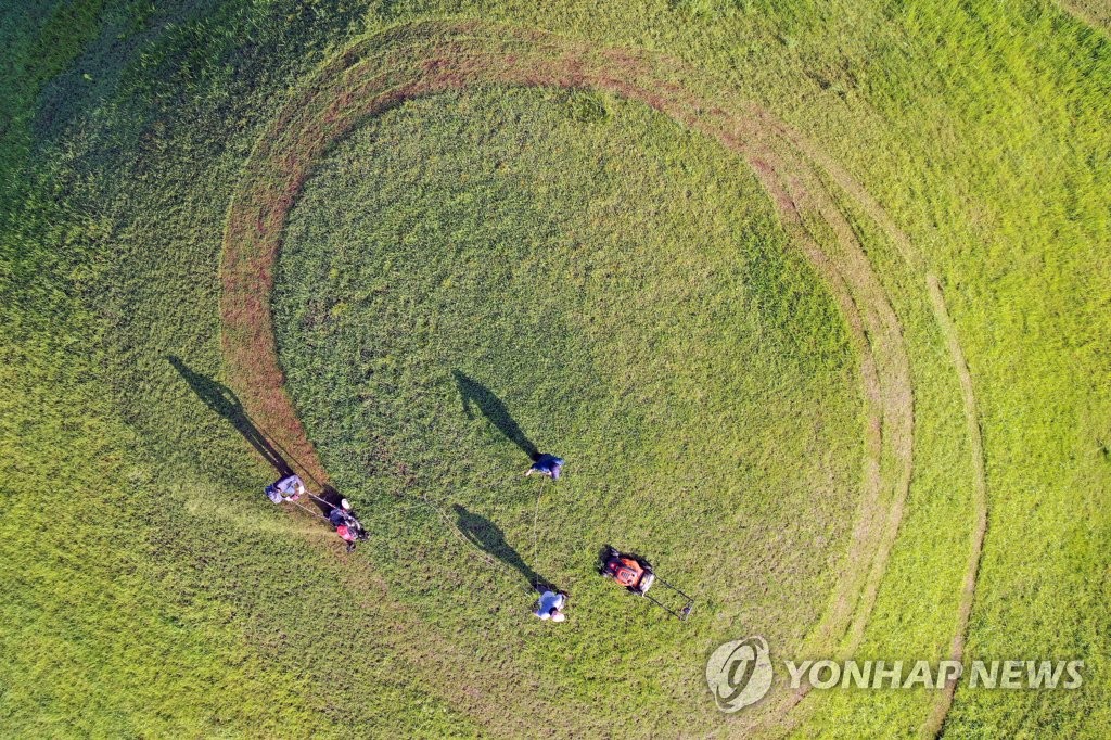 추석 앞두고 경주 대릉원 벌초