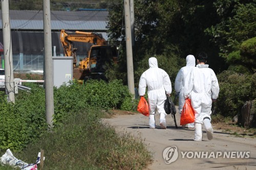 '돼지열병 비상'