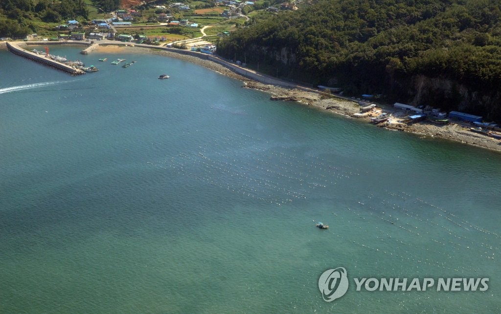 여수 돌산 인근 적조띠