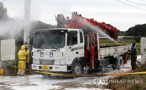 ASF 발병 파주·연천, 방역 안간힘