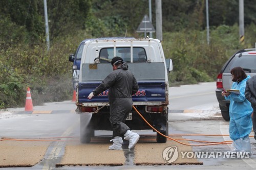국내 14번째 ASF 연천에서 발생