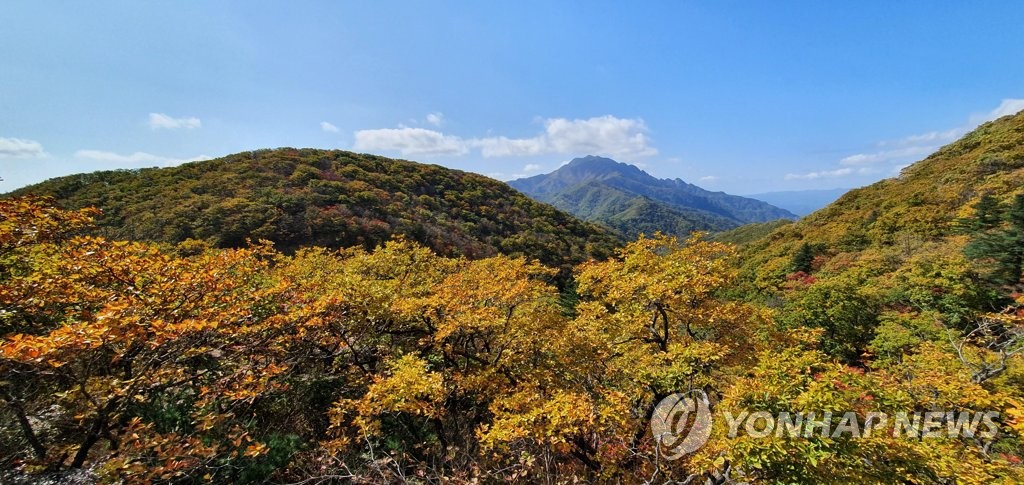 단풍 물들어가는 설악산 한계령
