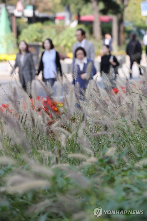 부쩍 다가온 '쌀쌀한 가을'