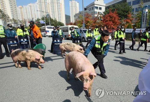 돼지를 막아라