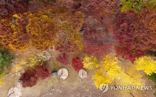 춘천 만추
