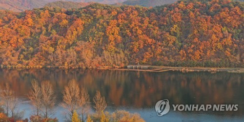 장관 이룬 가을 단풍