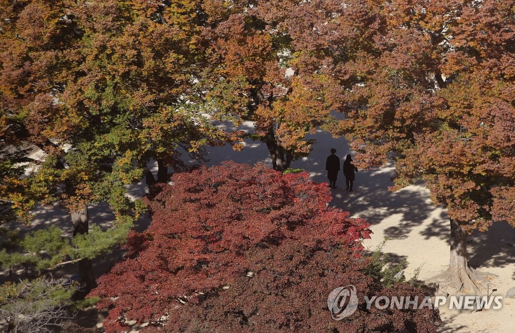 가을과 겨울 사이에서
