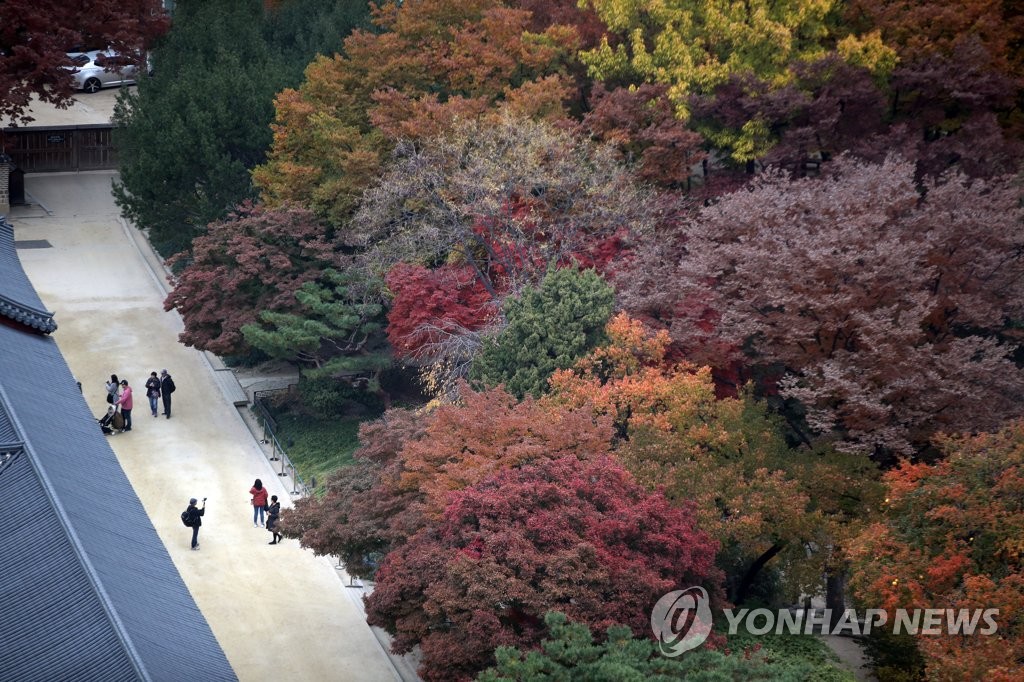 Autumn leaves at Seoul palace Autumn leaves at Seoul palace