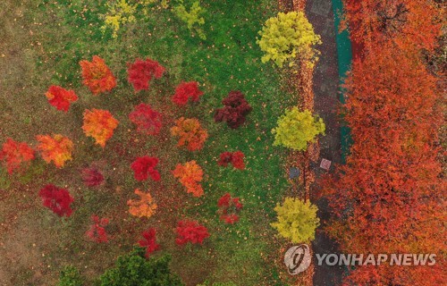 화려했던 가을의 마지막