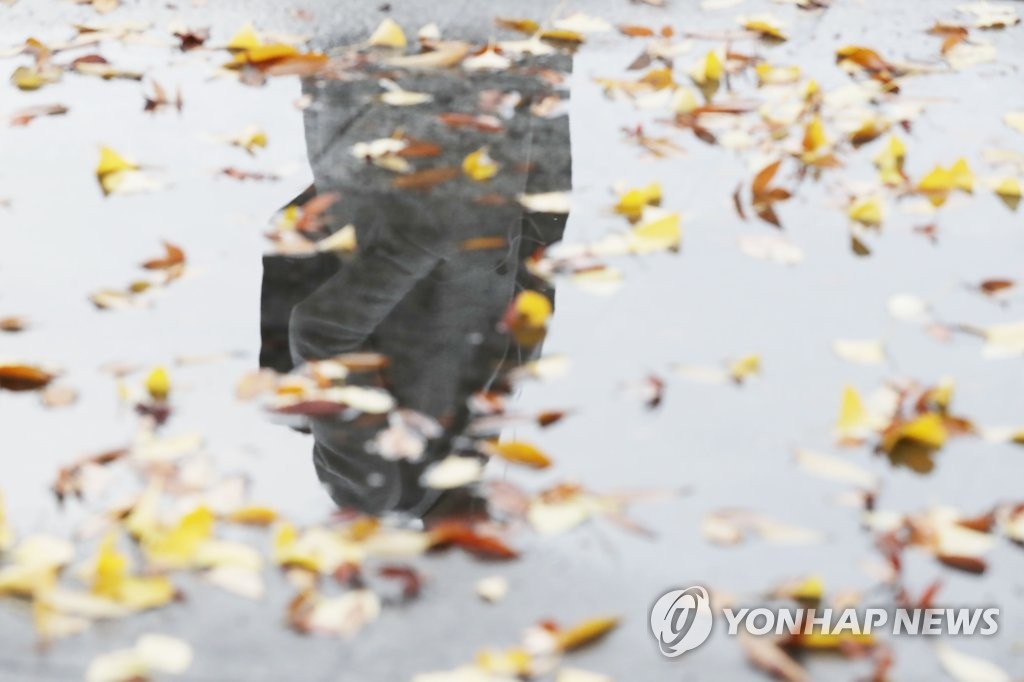 떨어진 낙엽 사이로