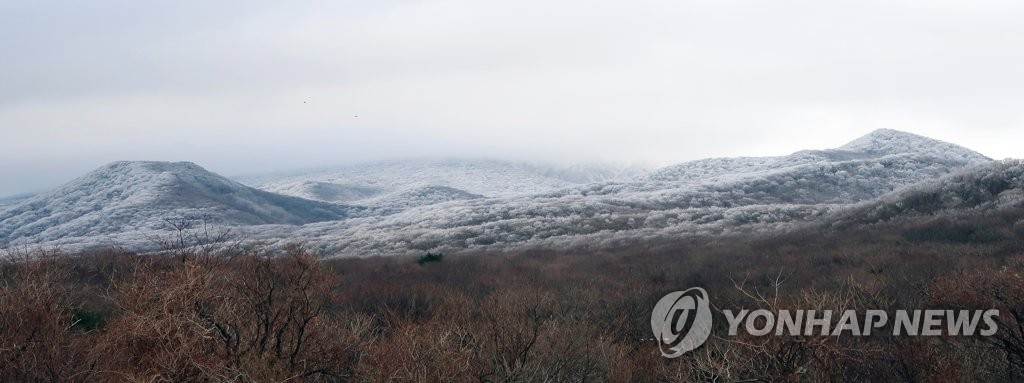 Snowcapped Mt. Halla Snowcapped Mt. Halla