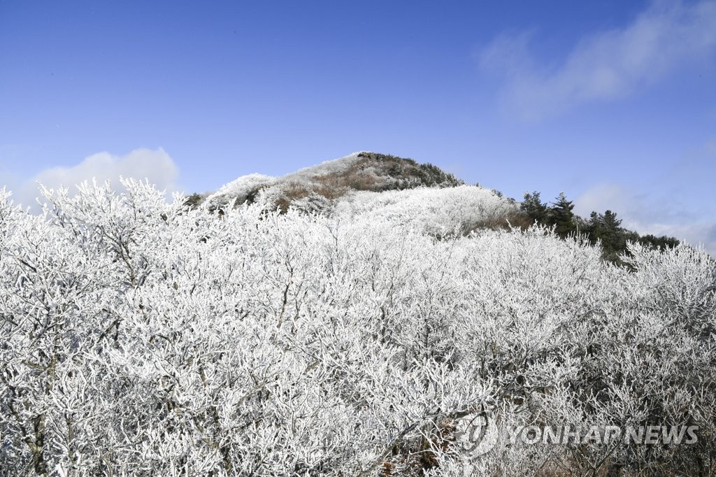 Hoarfrost on Mt. Jiri Hoarfrost on Mt. Jiri