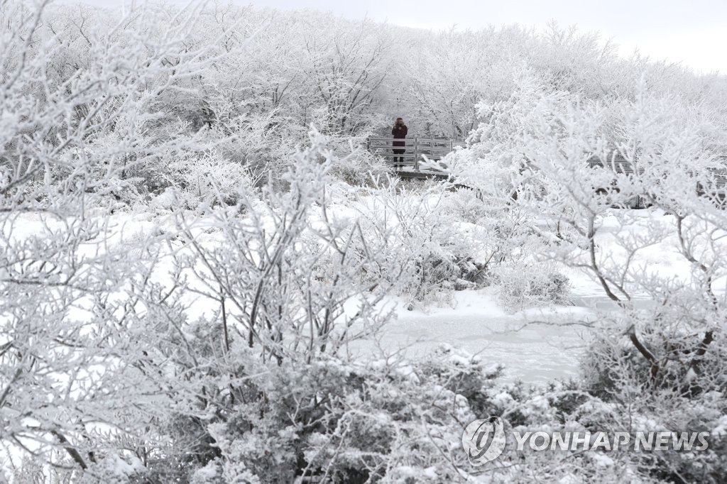한라산 1100고지 습지 설경