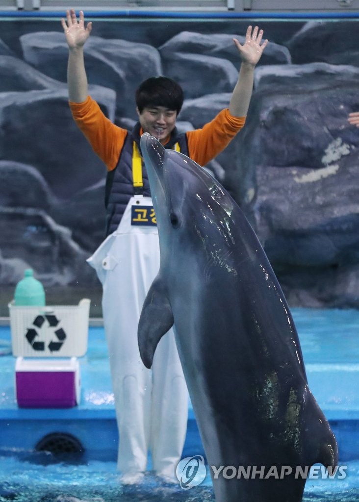 고래생태체험관에서 태어난 돌고래 첫 공개