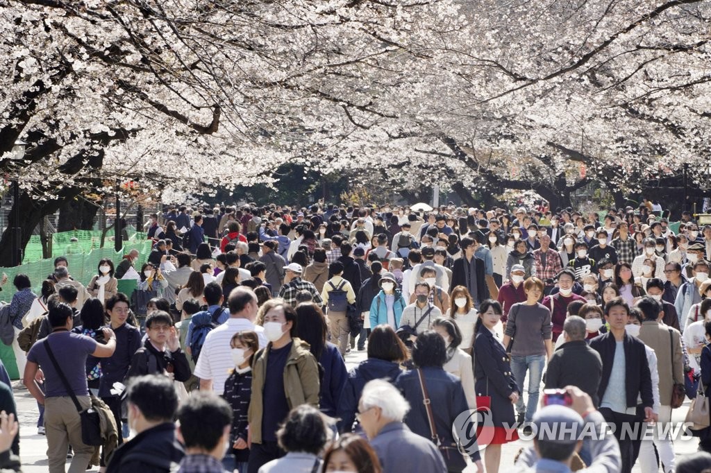 (도쿄 교도=연합뉴스) 21일 일본 도쿄도 소재 우에노(上野) 공원에서 상춘객들이 벚꽃을 구경하고 있다. 2020.3.27