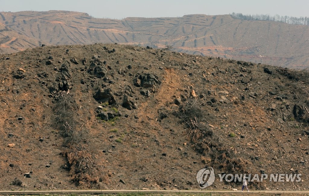 산불 마을 쓸쓸한 산책길