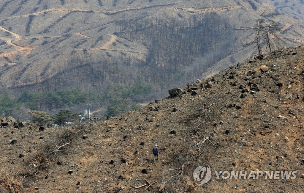 삶의 터전 앗아간 산불