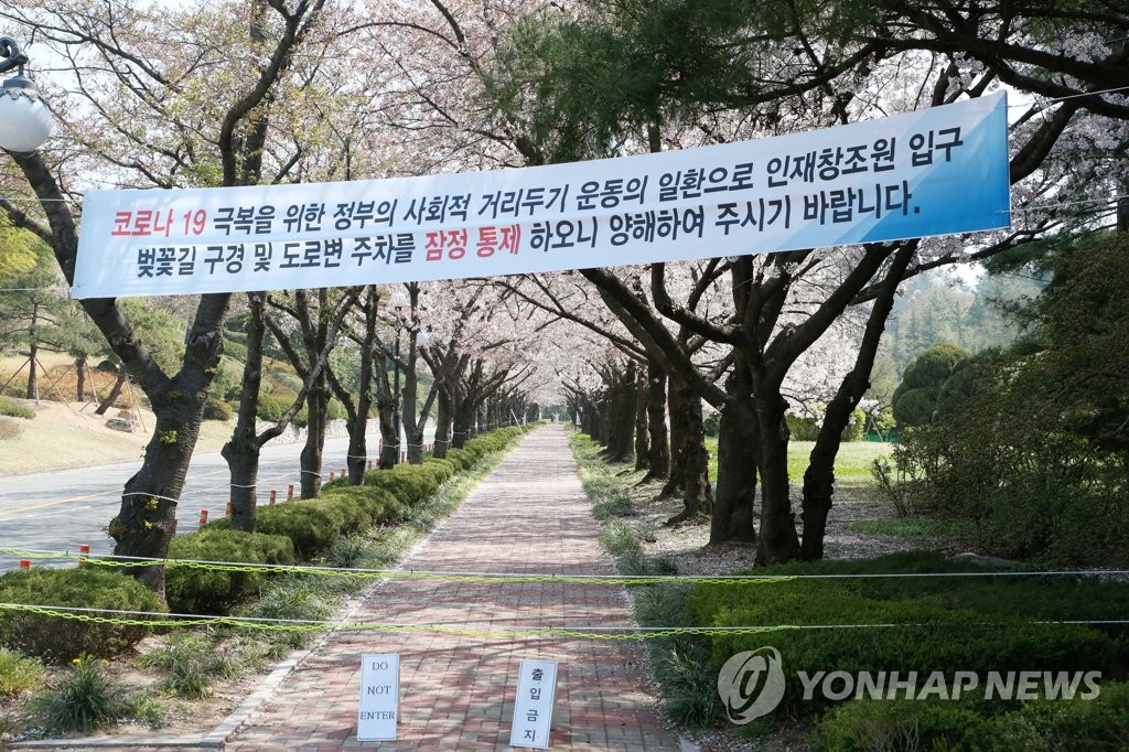 Cherry blossom boulevard sealed off over virus concerns Cherry blossom boulevard sealed off over virus concerns