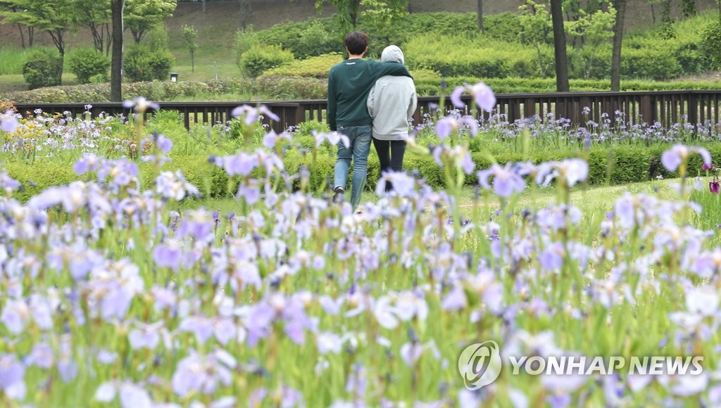 붓꽃 나들이