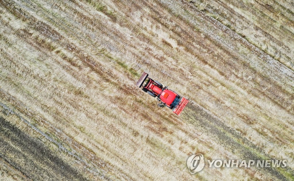 보릿짚 정리