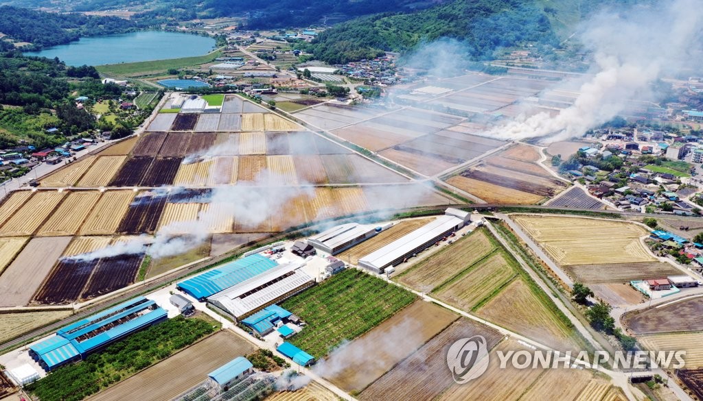 '조심조심' 보리밭 태우기