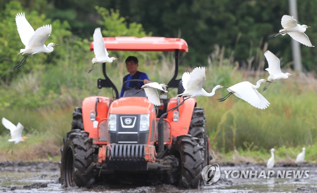 '공존'