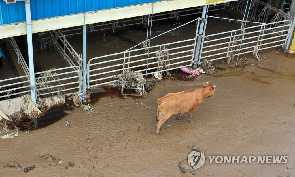 '우리집에 못가네'