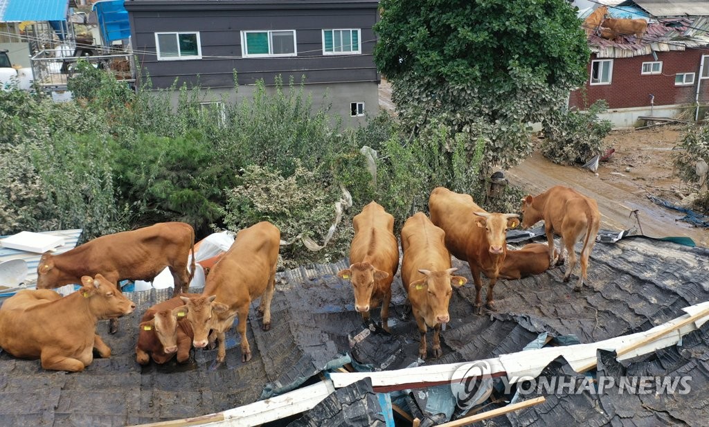屋根の上で水難逃れる 屋根の上で水難逃れる