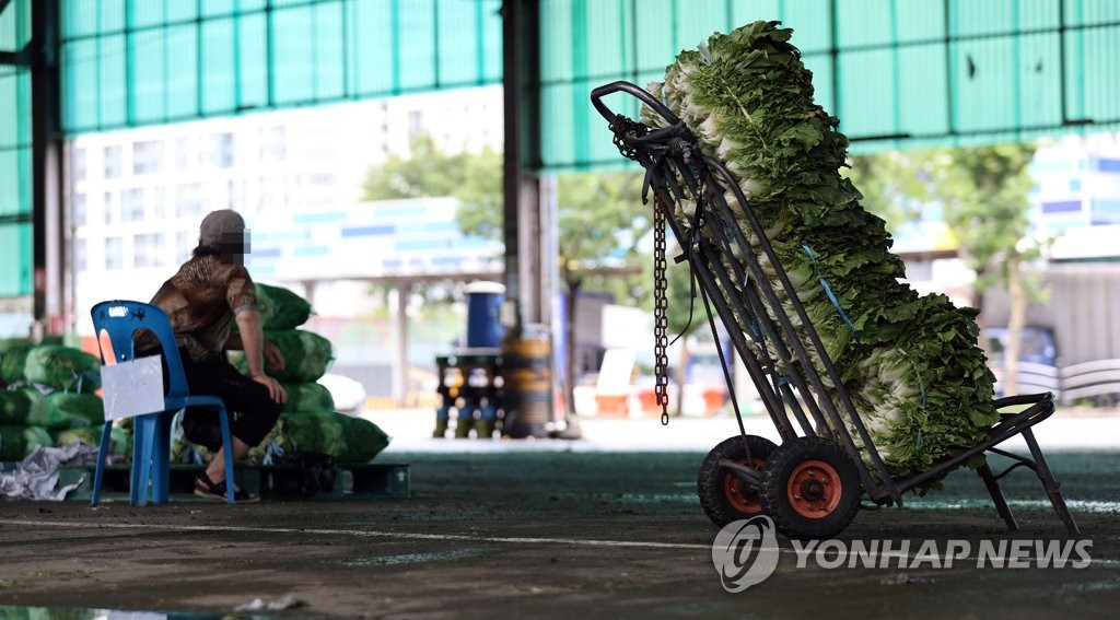 긴 장마에 채소류 가격 상승