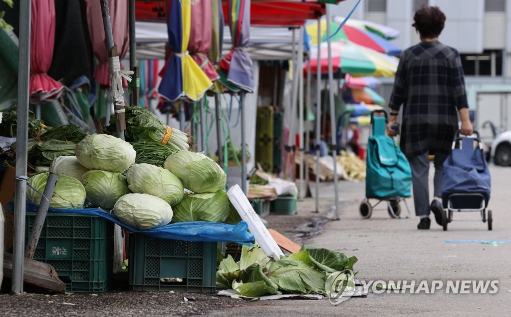 긴 장마에 채소 가격 '들썩'