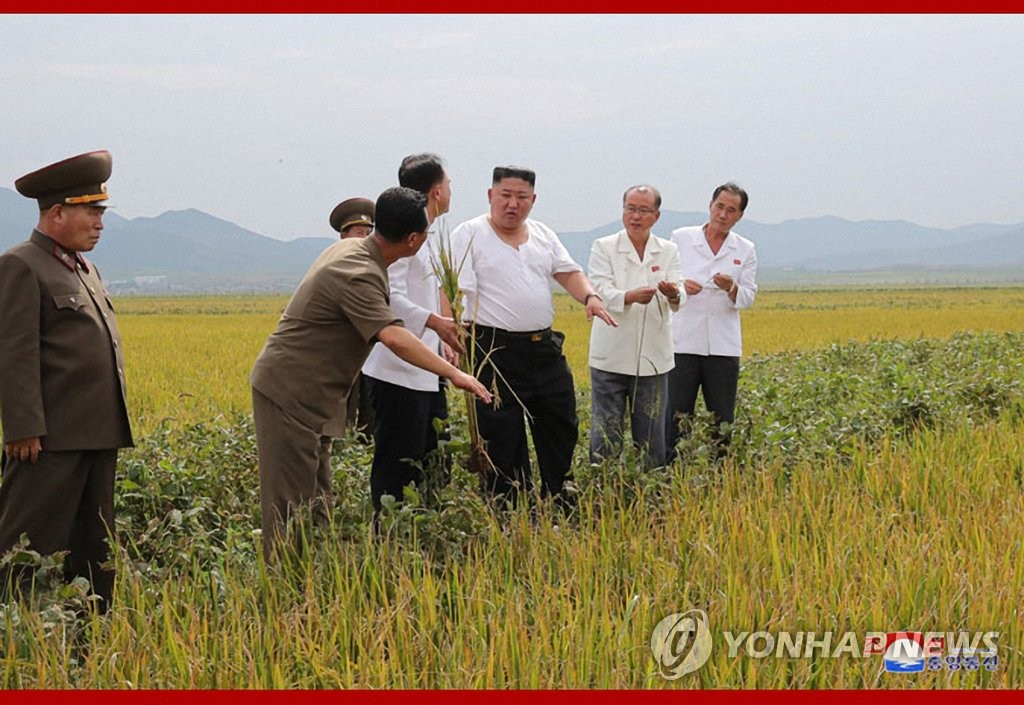 김정은, 낱알 만지며 수해지역 농작물 피해 상황 점검