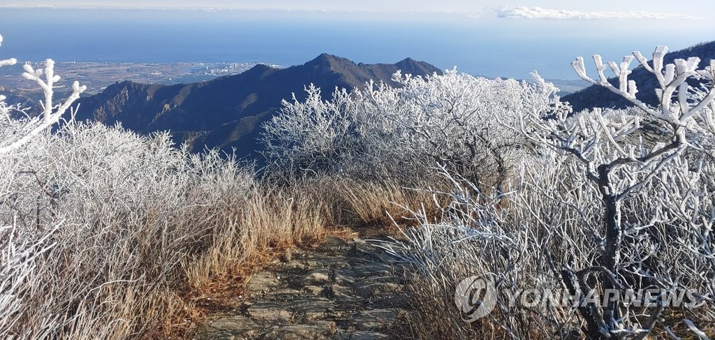 추위가 만든 설악산 상고대 '장관'