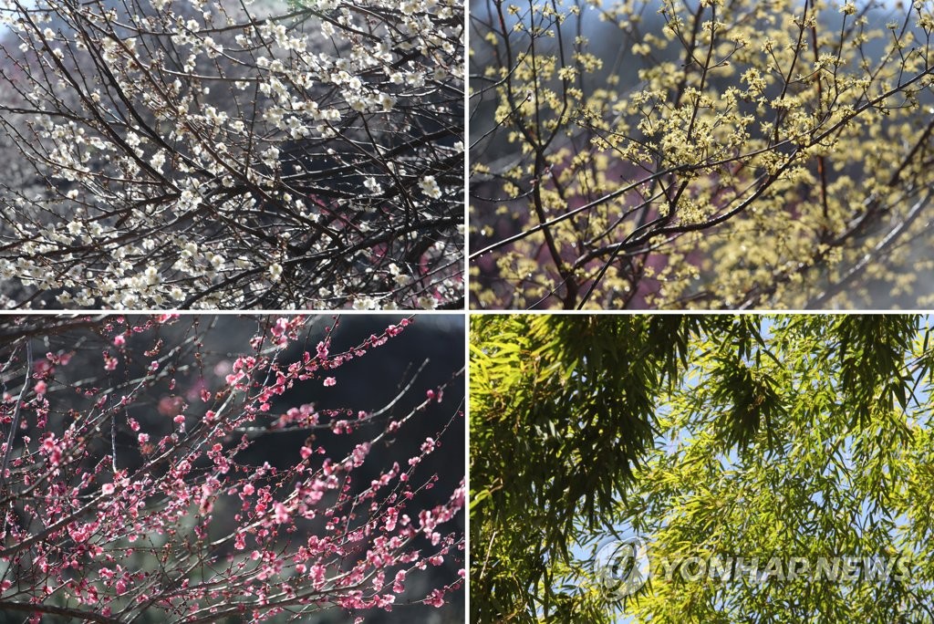 봄의 색깔