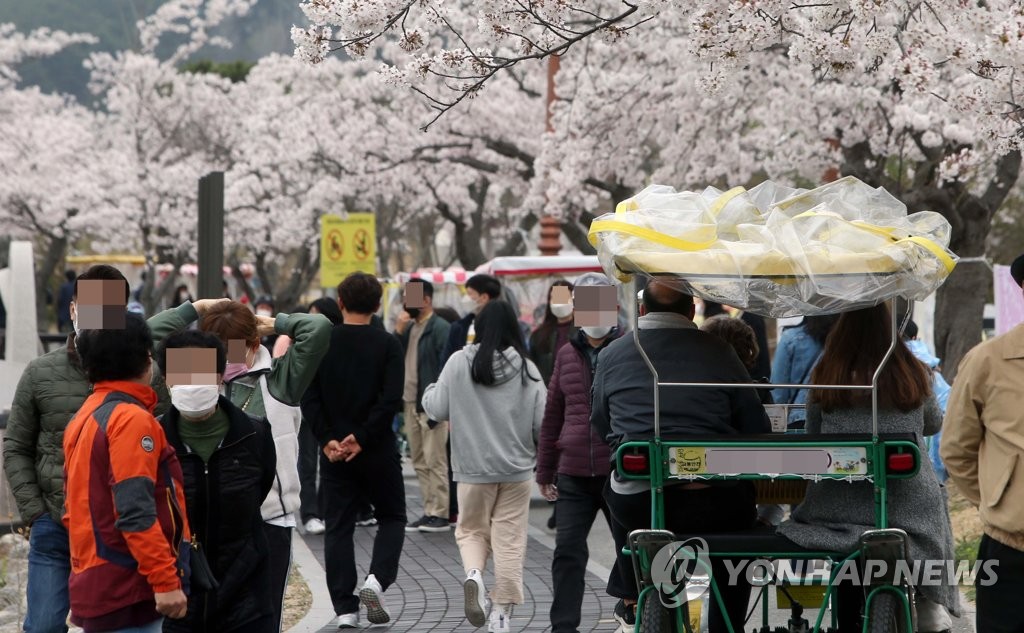 사회적 거리 두기 무색한 벚꽃 명소