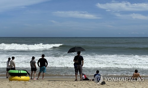 해운대 높은 파도만 바라보는 시민들