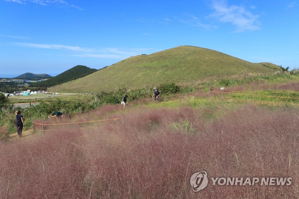 제주의 가을